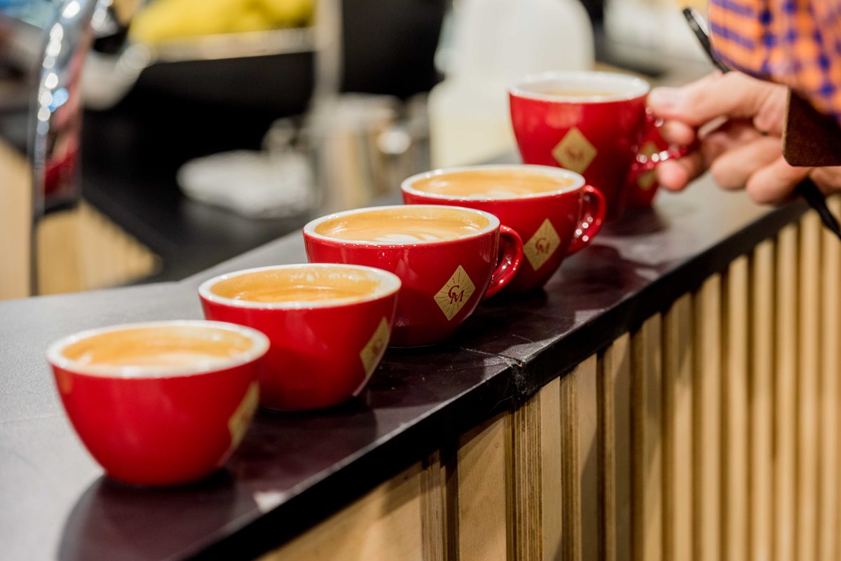 CM-cups.jpg CM-cups.jpg